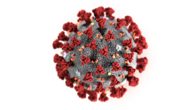 Corona Virus