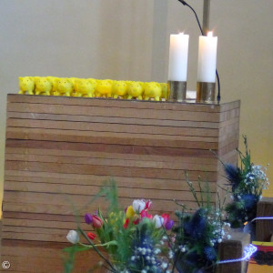 Bauschweinchen am Altar